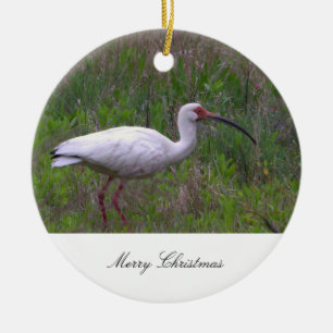 Cerámica Adorno de foto de pájaro Ibis