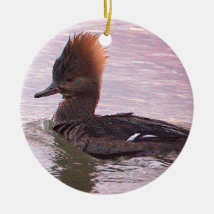 Cerámica Adorno de foto de pato