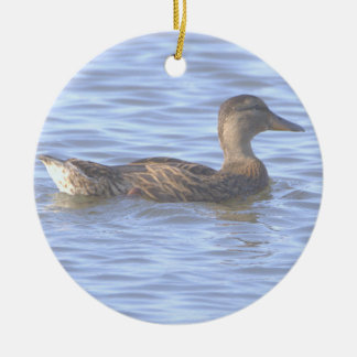Cerámica Adorno de foto de pato