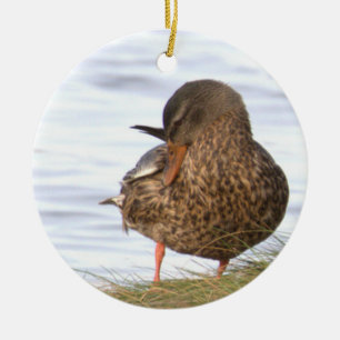 Cerámica Adorno de foto de pato