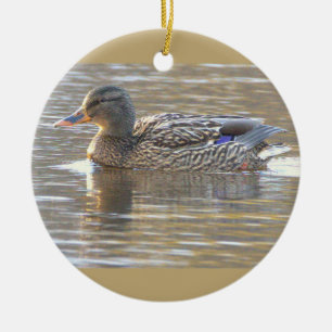 Cerámica Adorno de foto de pato real