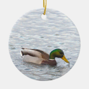 Cerámica Adorno de foto de pato real