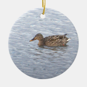 Cerámica Adorno de foto de pato real