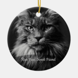 Cerámica Adorno de Foto Personalizado en Memoria de Gato