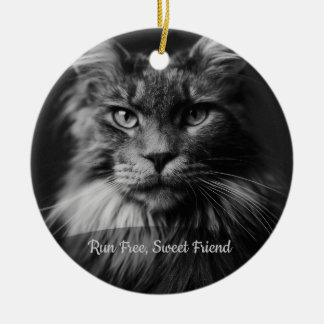 Cerámica Adorno de Foto Personalizado en Memoria de Gato