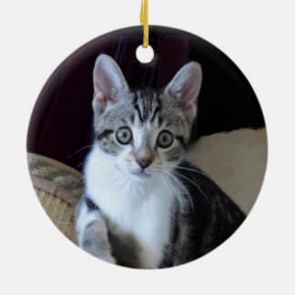 Cerámica Adorno de gatito tabby gris/blanco