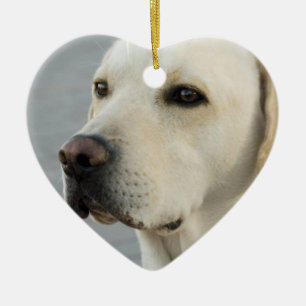 Cerámica Adorno de Labrador Retriever Amarillo