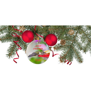 Cerámica Adorno de Navidad de Colibrí