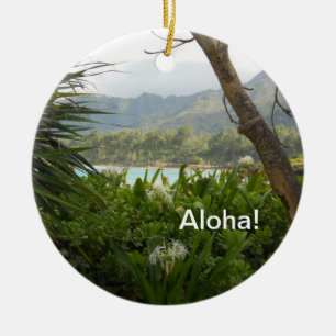 Cerámica Adorno de Navidad de Laguna Hawaiana