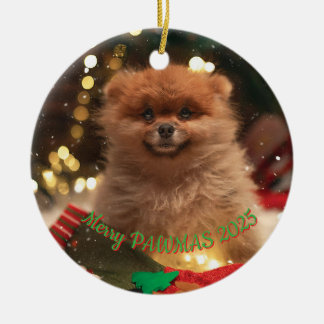 Cerámica Adorno de Navidad para Perro Personalizado – Foto