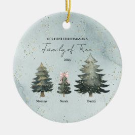 Cerámica Adorno de Navidad Personalizado para Familia de Tr