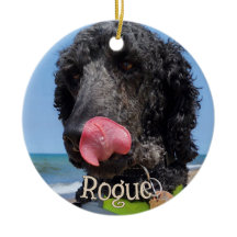Adorno de Navidad personalizado para mascotas
