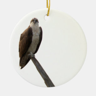 Cerámica Adorno de pájaro águila pescadora 
