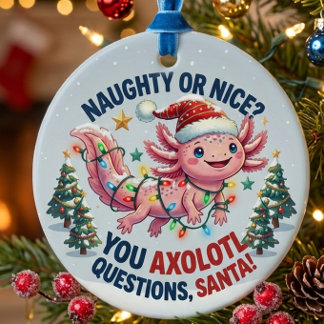 Cerámica Adorno de Santa Axolotl - Divertidas Preguntas de
