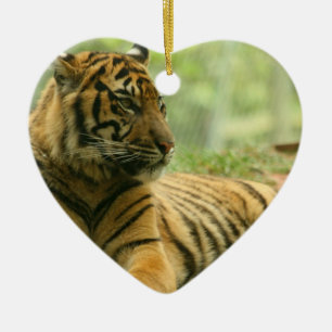 Cerámica Adorno de Tigre Reposado