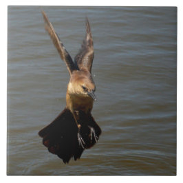 Cerámica Ave gruesa de cuervo Volando sobre el agua Azulejo