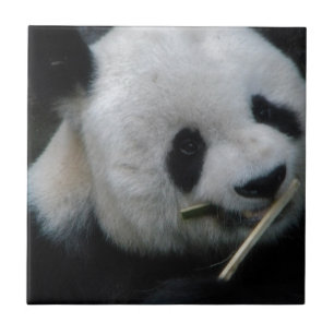 Cerámica Azulejo Cerámico de Bambú de Panda Adorable