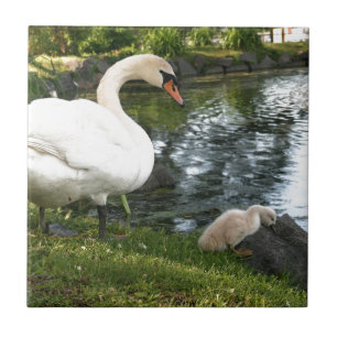 Cerámica Azulejo de cisne y cisne pequeño