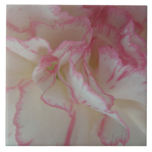 Cerámica Azulejo de Clavel Blanco y Rosa