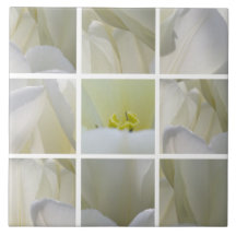 Azulejo de Tulipanes Blancos Cuadrados