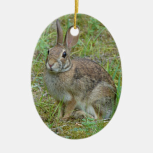 Cerámica Conejo Salvaje Oriental Adorno de Cottontail