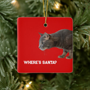Cerámica ¿Dónde está el adorno de Santa Cat?