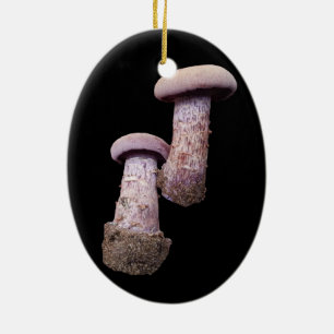 Cerámica El adorno del amante de los hongos