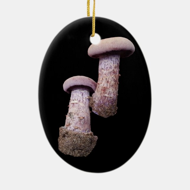 Cerámica El adorno del amante de los hongos (Atrás)