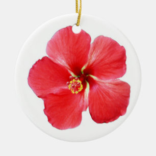 Cerámica Hermoso adorno de Navidad tropical Hibiscus