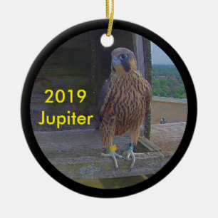 Cerámica Júpiter de adorno cerámico 2019
