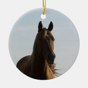 Cerámica La belleza es un adorno de caballos