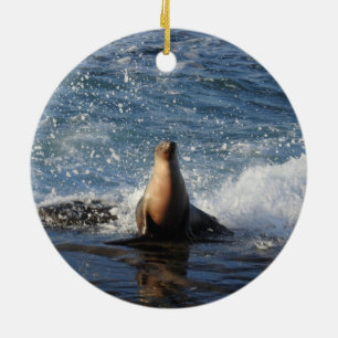 Cerámica León marino de California, vida silvestre, adorno