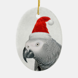 Cerámica Loro gris africano en un adorno de Santa Hat