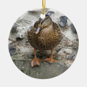Cerámica Pato en un adorno de pared