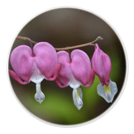 Cerámica Pomo cerámico de corazón sangrante