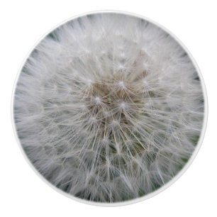Cerámica Pomo cerámico de flores de Dandelion de semillas
