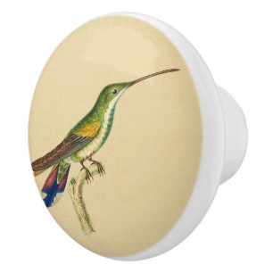 Cerámica Pomo de cajón Hummingbird 1830 de época