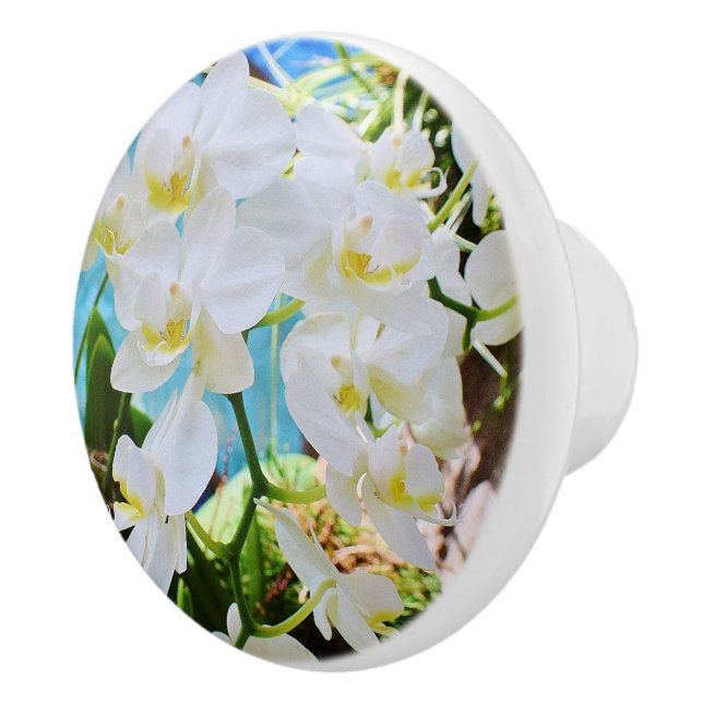 Cerámica Pomo de cajón para orquídeas (Derecha)