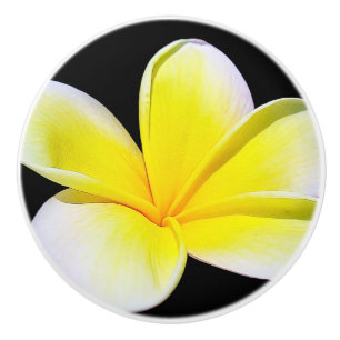 Cerámica Pomo de cajón Plumeria