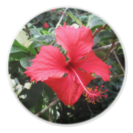 Cerámica Pomo de cajón rojo hibiscus