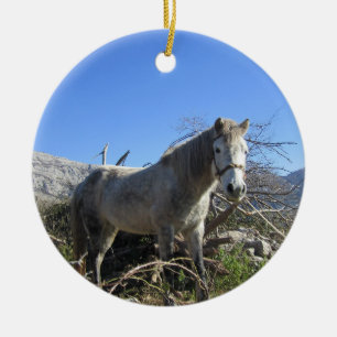 Cerámica Retrato de un caballo adorno