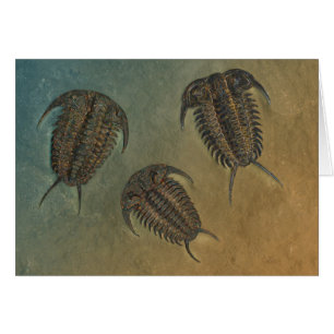 Ceraurus y Leviceraurus