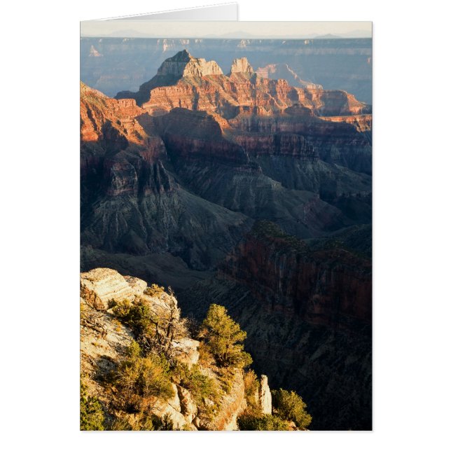 Cerca Del Borde (Frente)