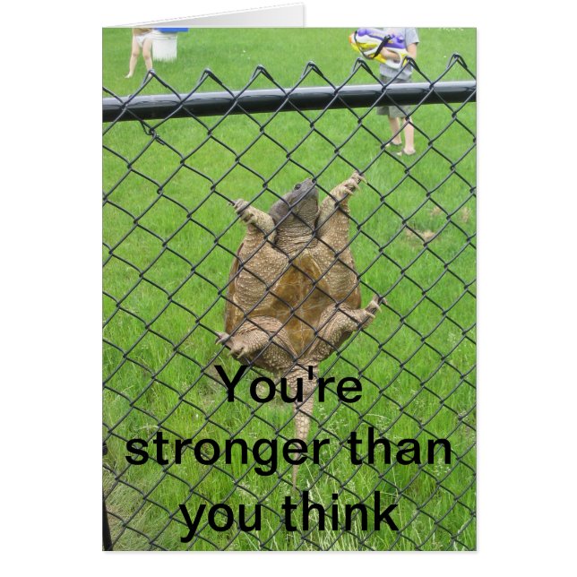 Cerca que sube de la tortuga (Frente)