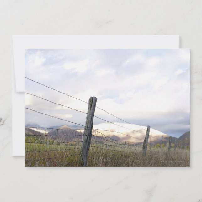 Cercado en el paisaje (Anverso)