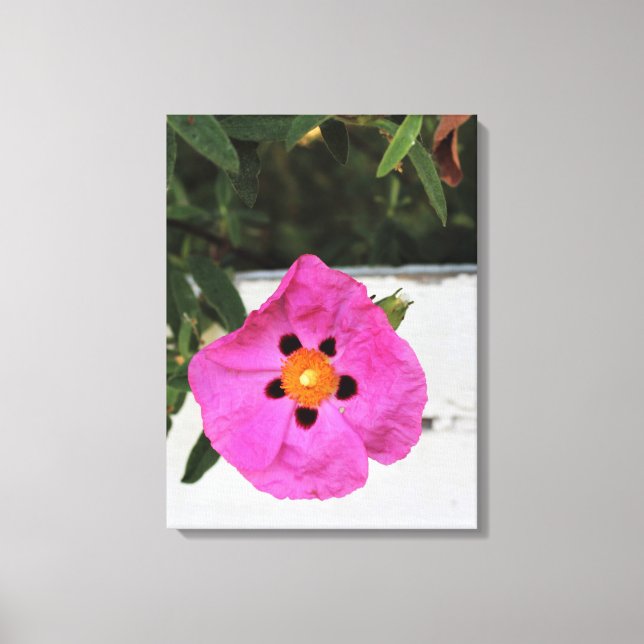 Cercado en la impresión de lienzo floral (Anverso)