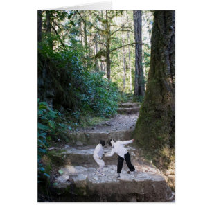 Cercadores en el bosque (tarjeta)