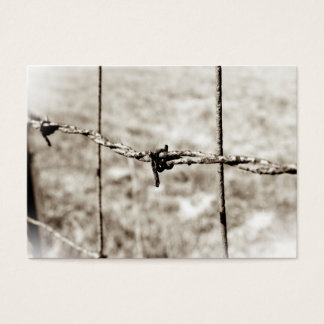 Cercas de alambre de púas (Sepia)