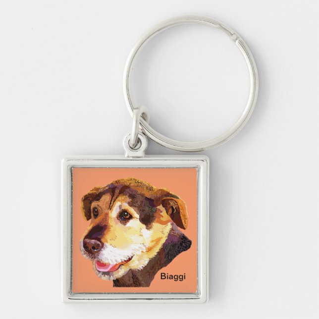 Cercas de Biaggi para el llavero de Fido (Frente)