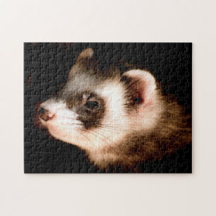 Cerco de la cabeza ferret, rompecabezas